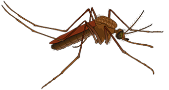 Sivrisinek İlaçlama